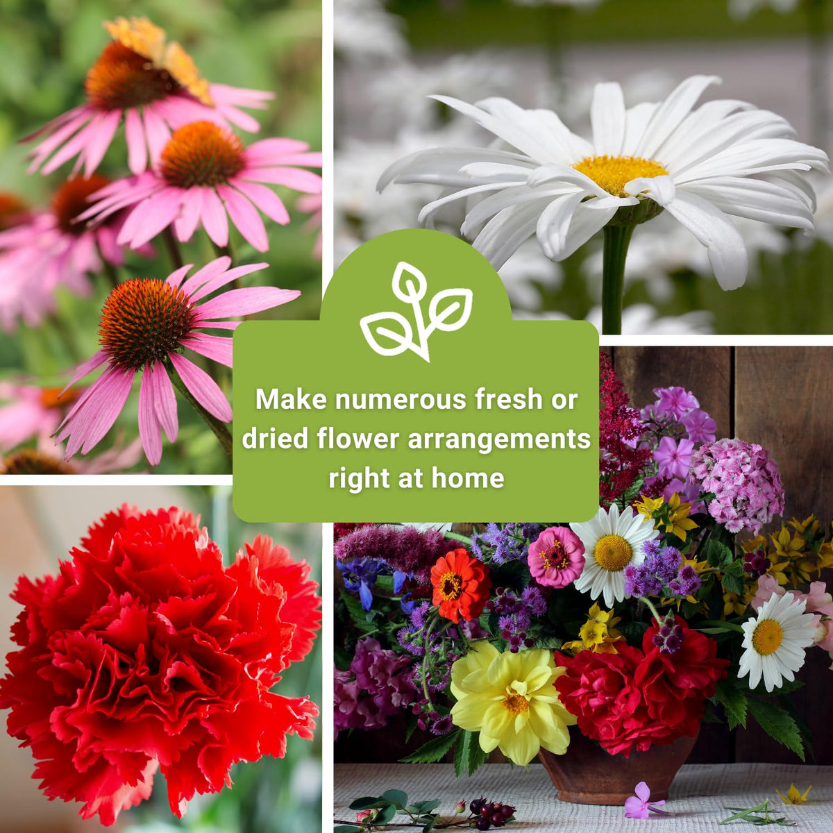 Sow Right Seeds large flower farm stock seeds offer fragrance for indoor vases