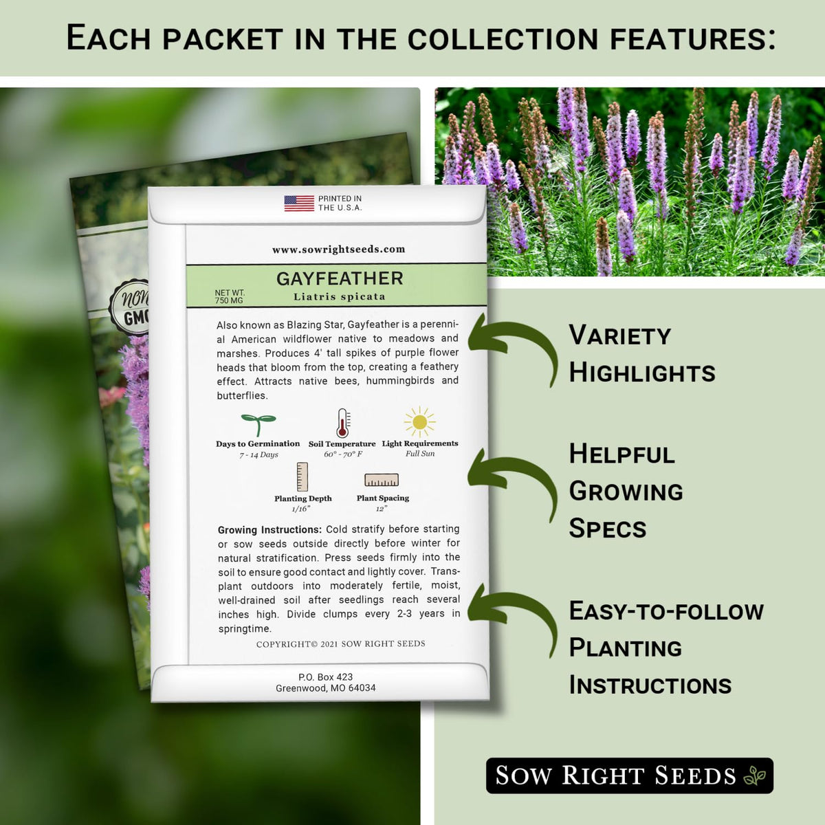 Sow Right Seeds large flower farm sunflowers seeds brighten borders and attract pollinators