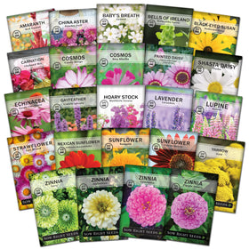 Sow Right Seeds large flower farm zinnias seeds for vibrant cut bouquets