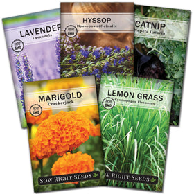 Sow Right Seeds lavender seed packet offers natural pest deterrence for gardens.