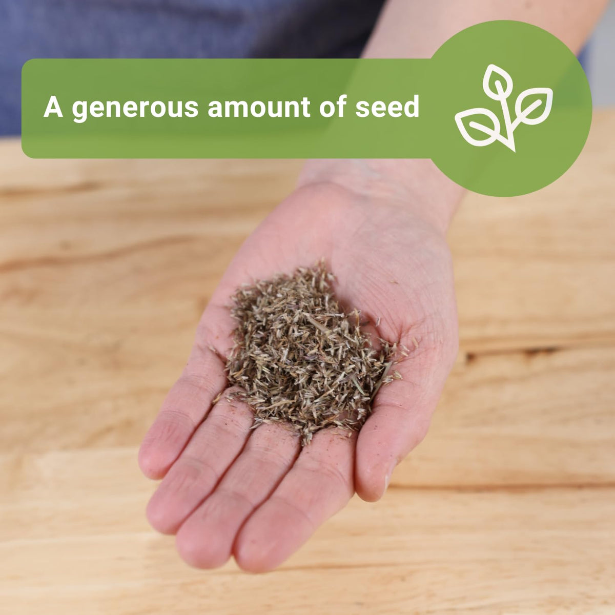 Plant lemongrass seeds 1/6 inch deep for strong roots