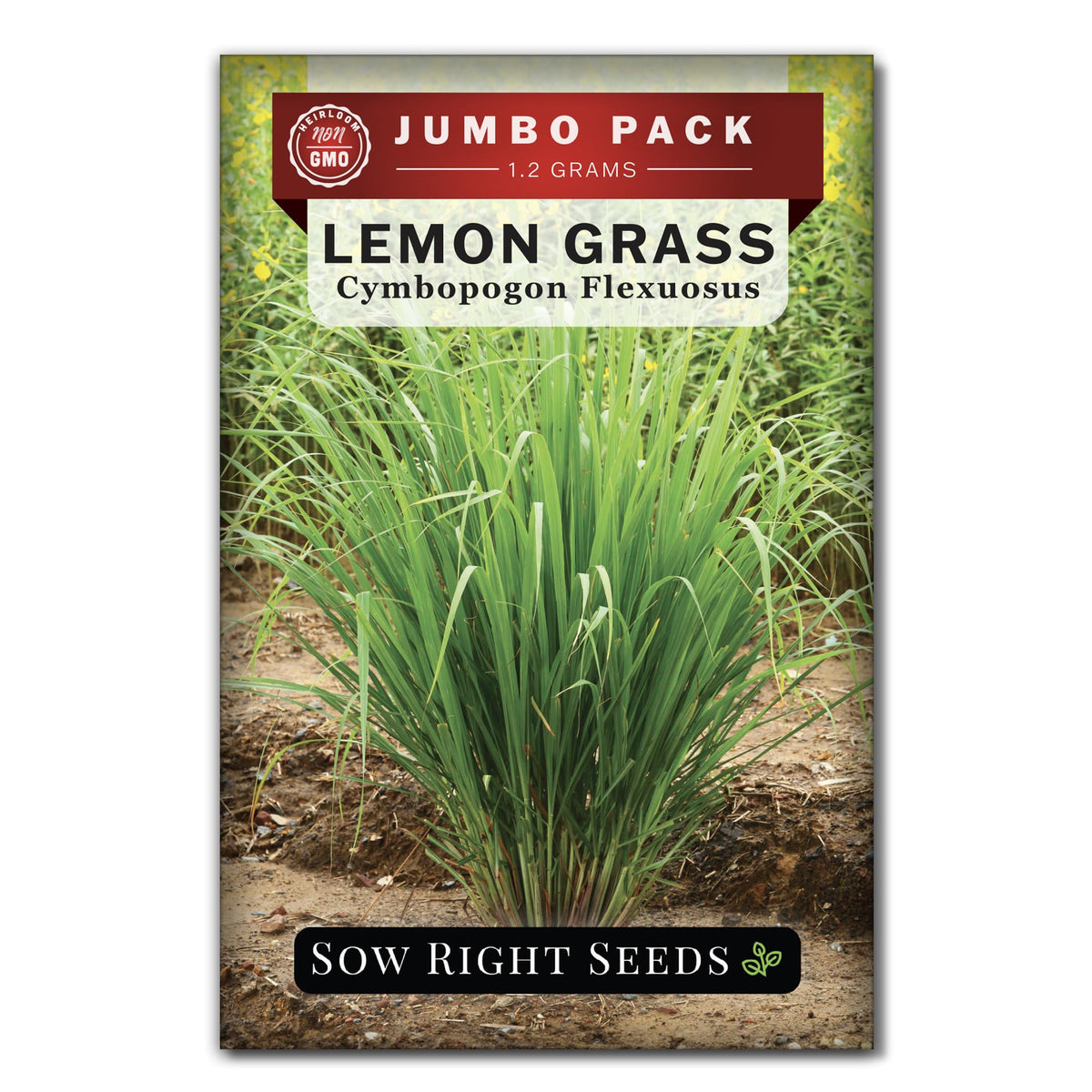 Sow Right Seeds lemongrass seeds bulk pack ready for planting in a home garden