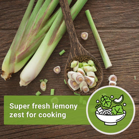 Fresh lemongrass tea and stir-fry ideas from the herb