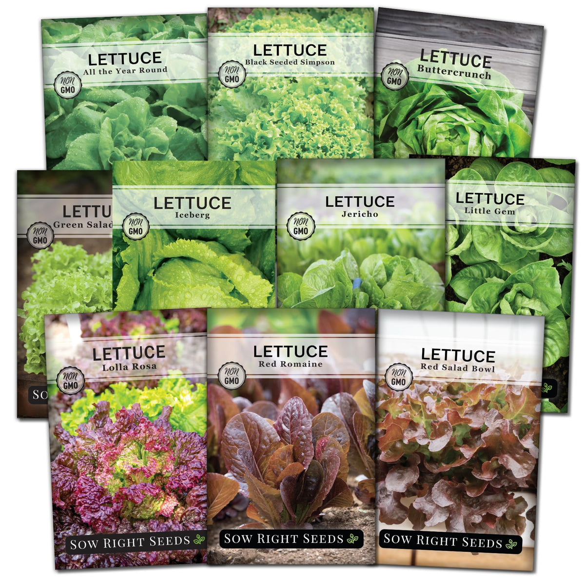 Sow Right Seeds lettuce seed packets with colorful varieties for gourmet salads.
