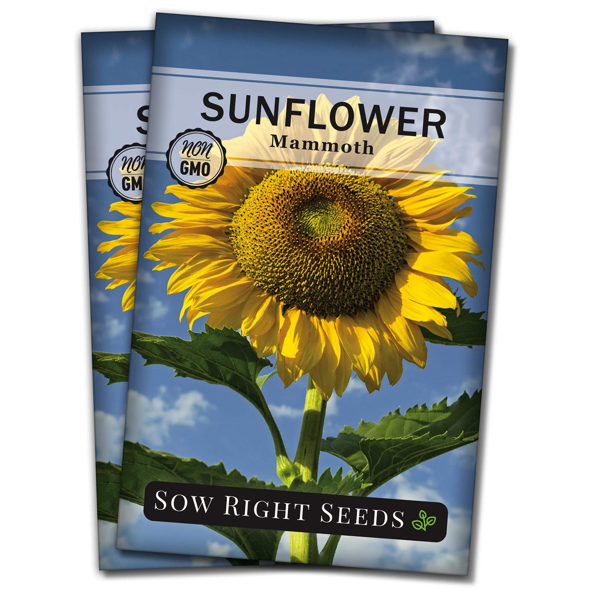 Sow Right Seeds Mammoth Sunflower seed packet ready for planting and seed saving