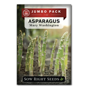 Sow Right Seeds Mary Washington asparagus seeds bulk packet for home garden
