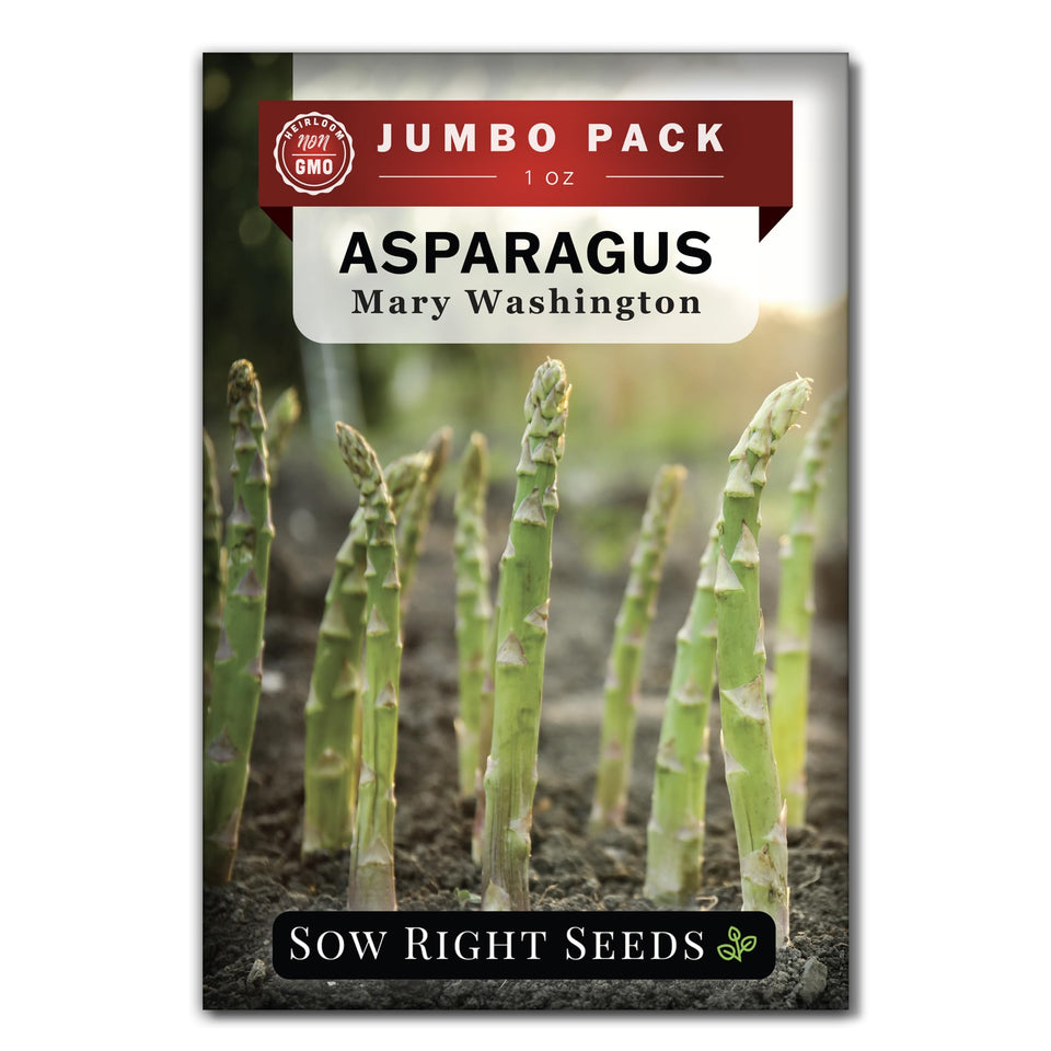Sow Right Seeds Mary Washington asparagus seeds bulk packet for home garden