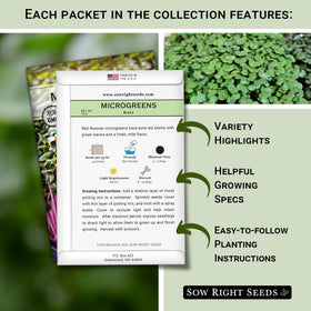 Sow Right Seeds broccoli-kale-cabbage microgreen mix sprouts for fresh salads.