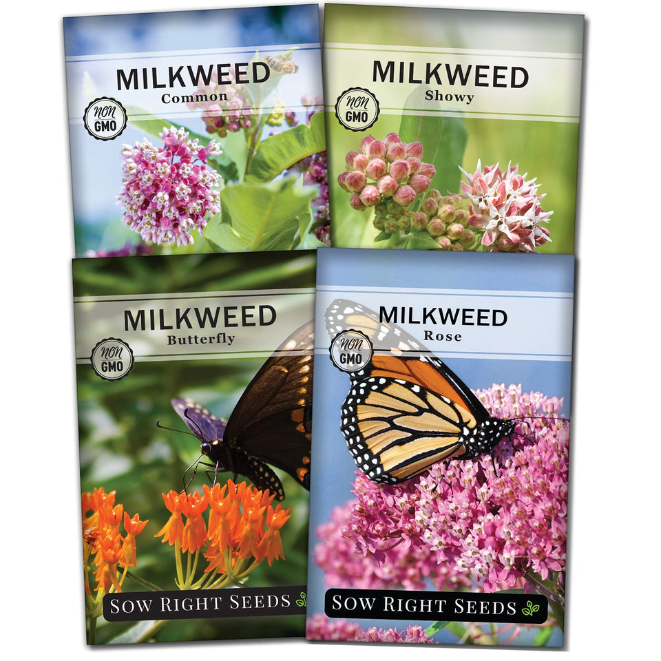 Sow Right Seeds milkweed collection pack showcasing four varieties for pollinator gardens