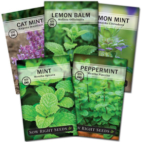 Sow Right Seeds mint collection packet showing five varieties for beginner gardeners