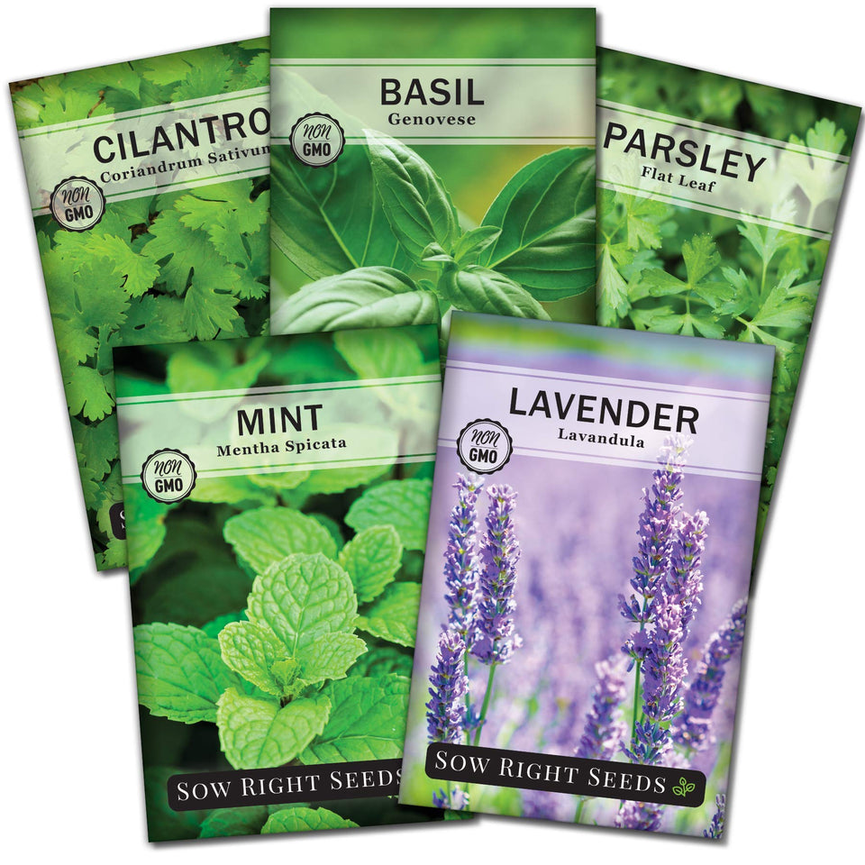 Sow Right Seeds mint seed packets for fresh home-grown herbs ideal for teas and garnishes.