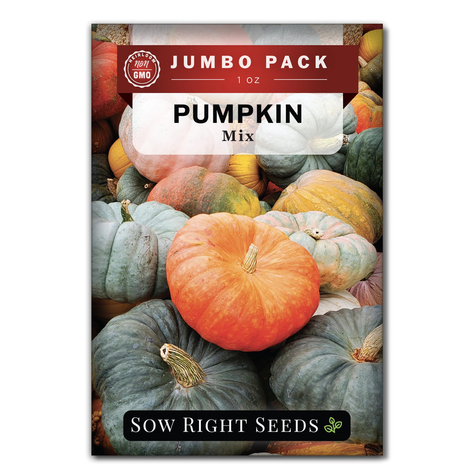 Sow Right Seeds seed packet for mixed pumpkins ready to plant.