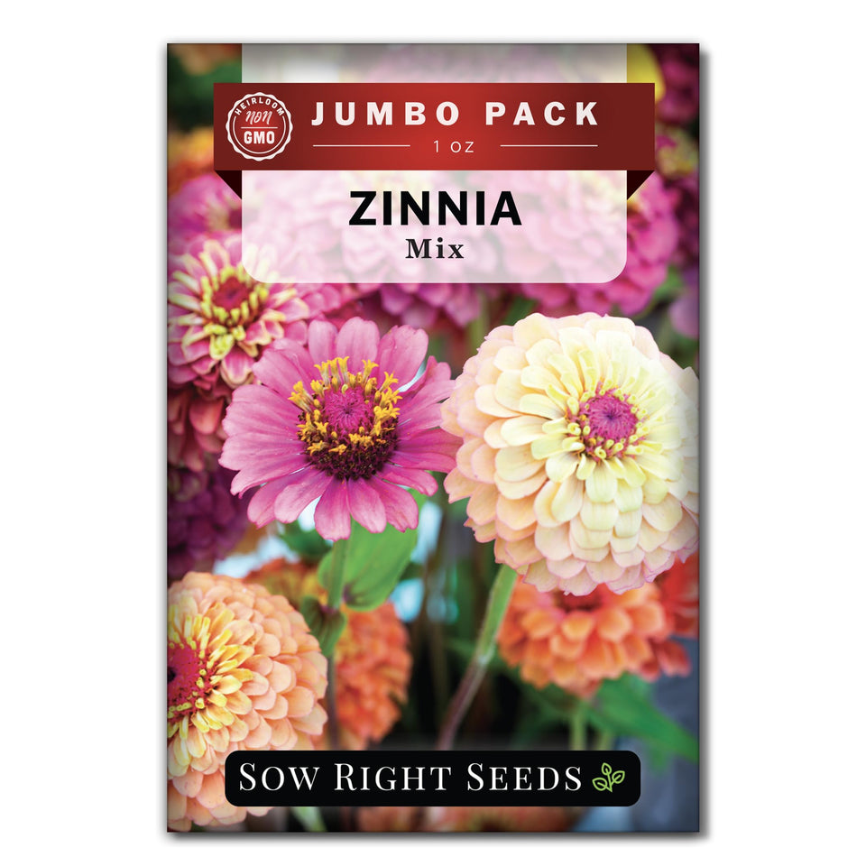 Sow Right Seeds mixed zinnia seeds bulk packet ready for spring planting.