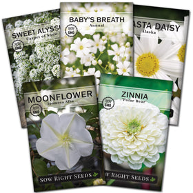 Sow Right Seeds polar bear zinnia bloom for a bright pollinator-friendly moon garden
