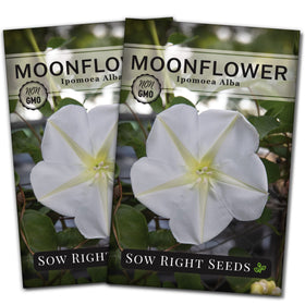 Sow Right Seeds Moonflower seeds packet showing premium heirloom selection for vibrant summer blooms