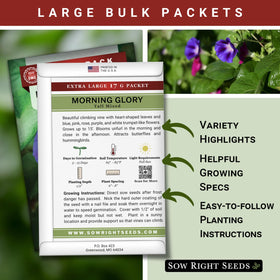 Sow Right Seeds morning glory vine on trellis showing fast climber.