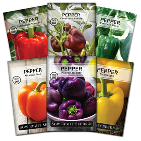 Sow Right Seeds Orange Sun pepper seeds for bright, sweet peppers.