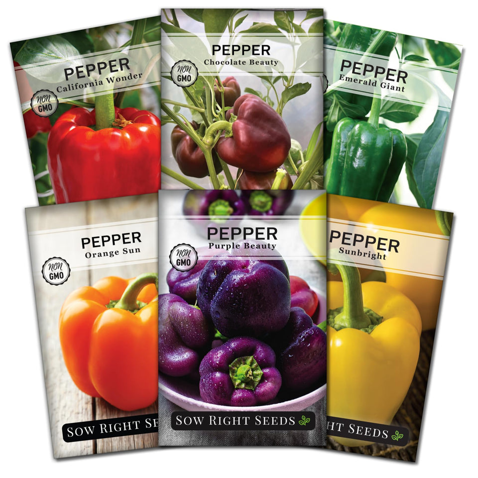 Sow Right Seeds Orange Sun pepper seeds for bright, sweet peppers.