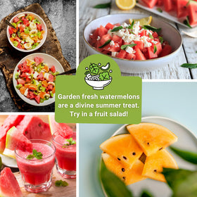 Sow Right Seeds Orangeglo watermelon packet featuring bright orange flesh for color in the garden.