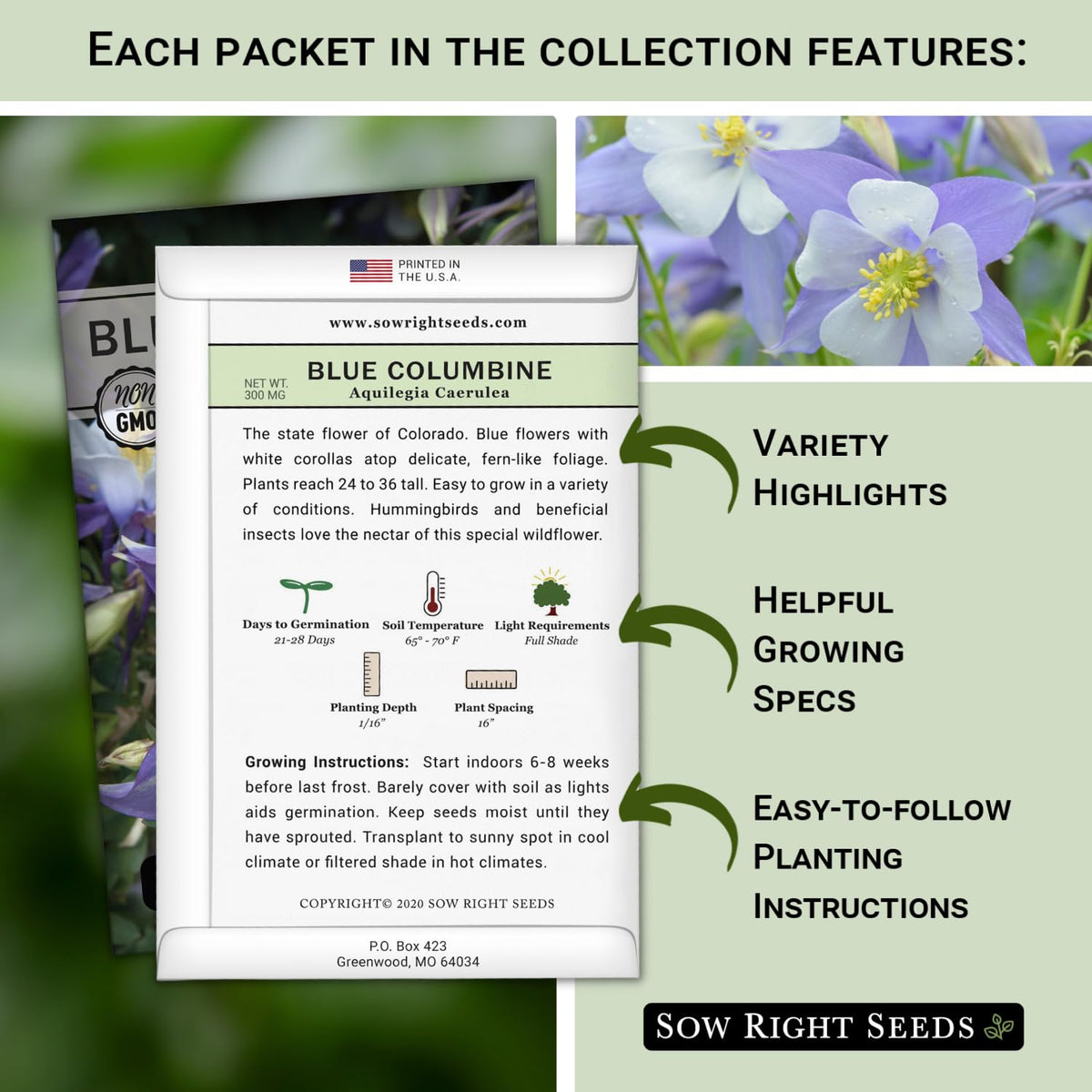 Sow Right Seeds russell lupine pack adds vertical color to borders.