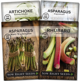 Sow Right Seeds perennial artichoke seed packet ready for planting and flavorful harvests