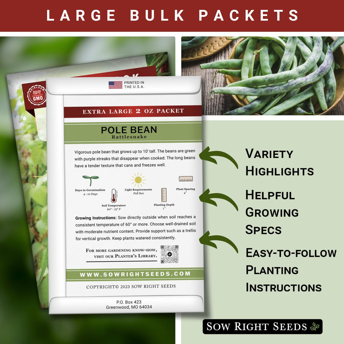 Sow Right Seeds purple-streaked beans on dark green vines brighten your garden.