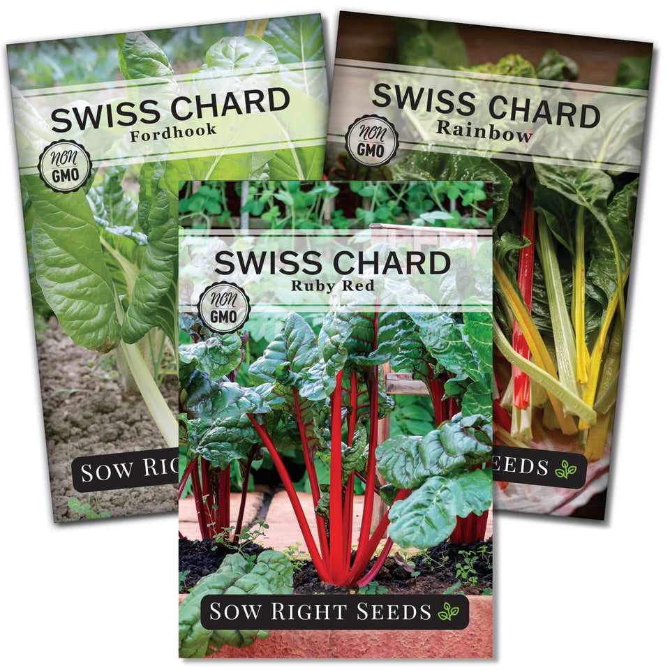 Sow Right Seeds Rainbow Swiss Chard seed pack for colorful fresh greens