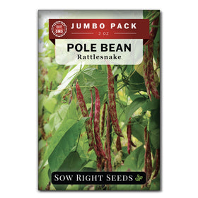 Sow Right Seeds rattlesnake pole bean bulk seeds ready for a prolific climbing harvest.