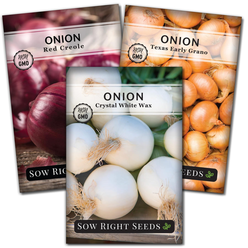 Sow Right Seeds Red Creole onion packet for home garden planting