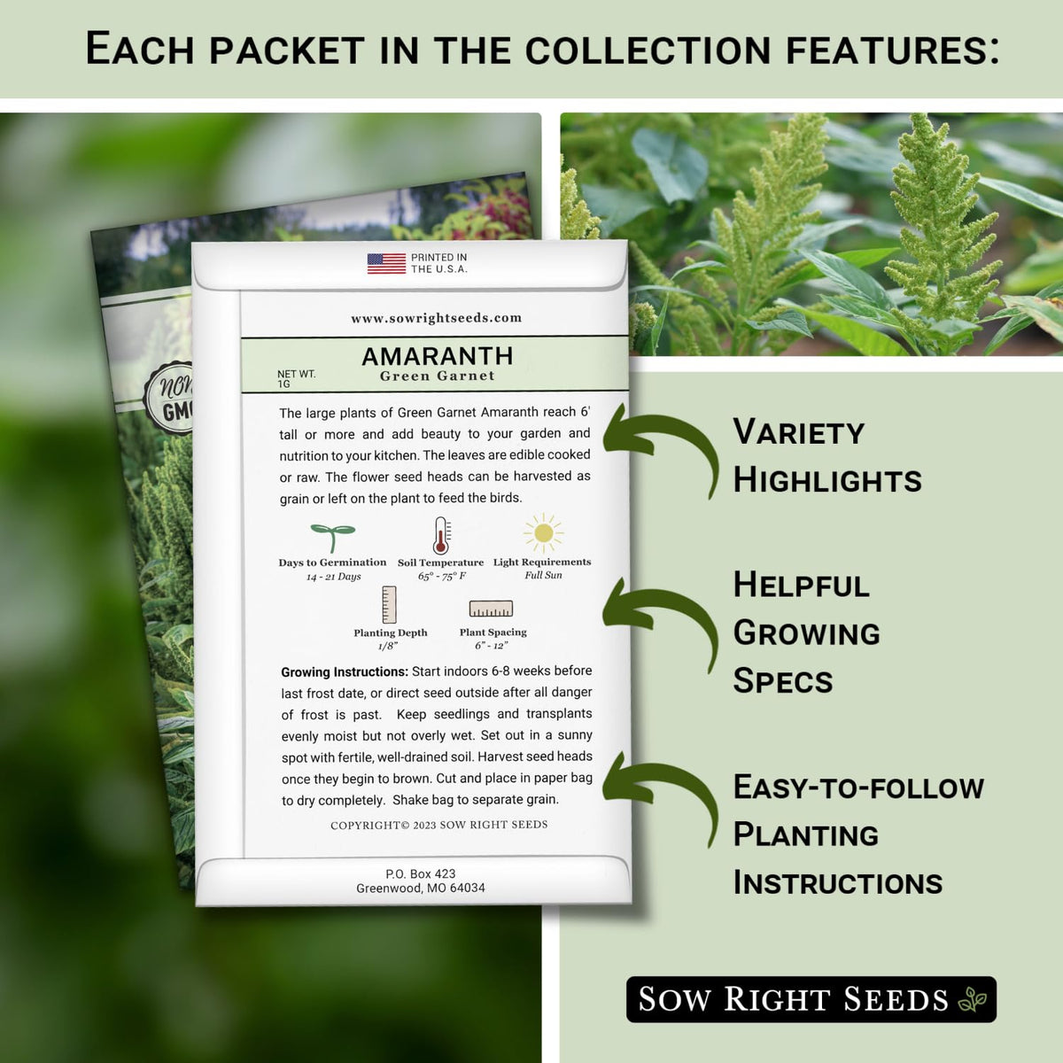 Sow Right Seeds Red Garnet amaranth seeds for dramatic crimson blooms and edible greens.