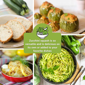 Sow Right Seeds Round zucchini seed packet for versatile summer dishes.