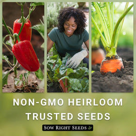 Sow Right Seeds Safe Seed Pledge logo on packaging.