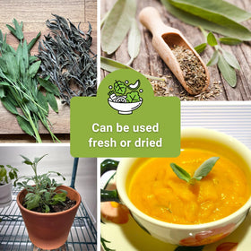 Sow Right Seeds planting guide image shows easy indoor outdoor sowing