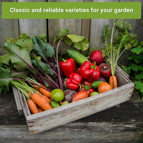 Scarlet Nantes carrot packet with Sow Right Seeds yields sweet harvest