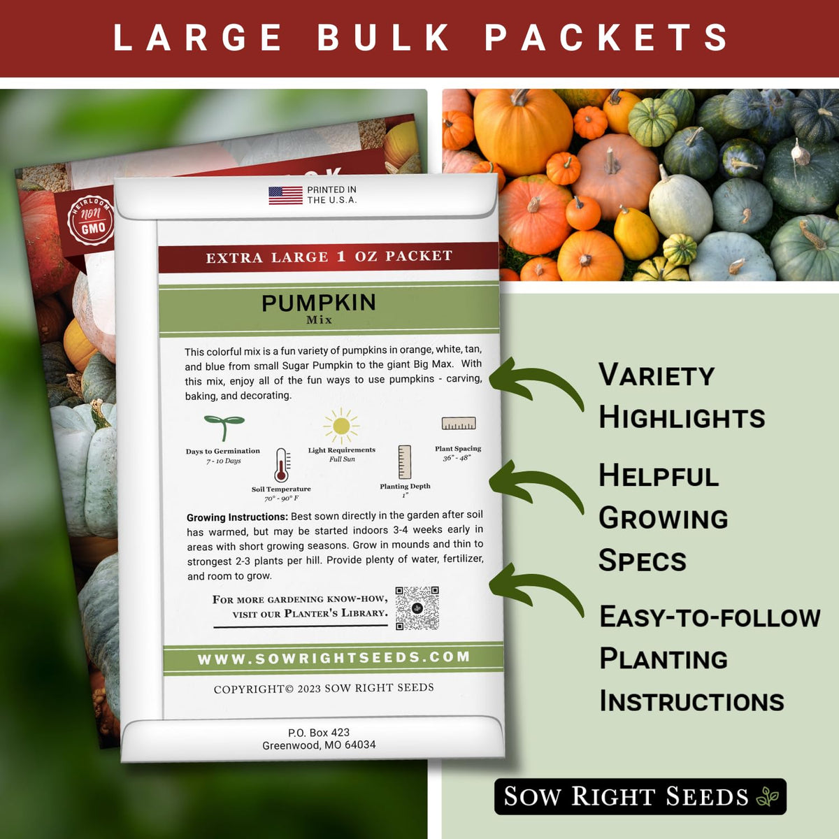 Sow Right Seeds Small Sugar pumpkin seeds for bright autumn pies.