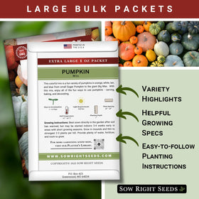 Sow Right Seeds Small Sugar pumpkin seeds for bright autumn pies.