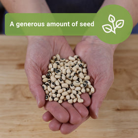 Sow Right Seeds spacing-3-inches-apart layout supports even growth and airflow.