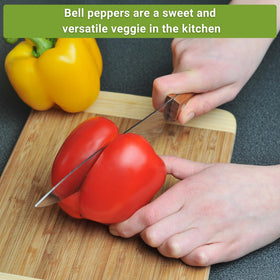 Sow Right Seeds Sunbright pepper seeds for bold color and reliable yields.