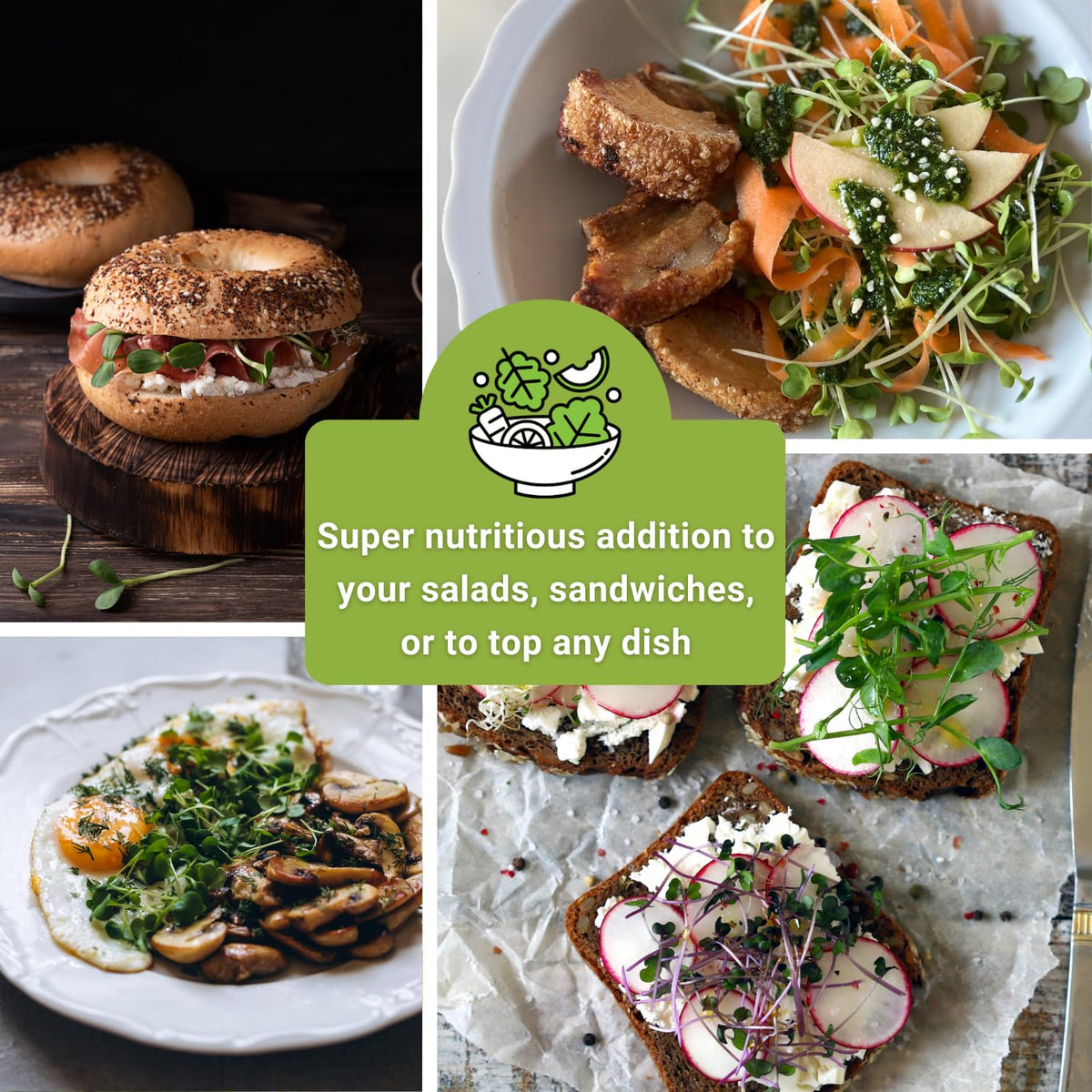 Sow Right Seeds sunflower microgreens packets featuring large leaves for garnish