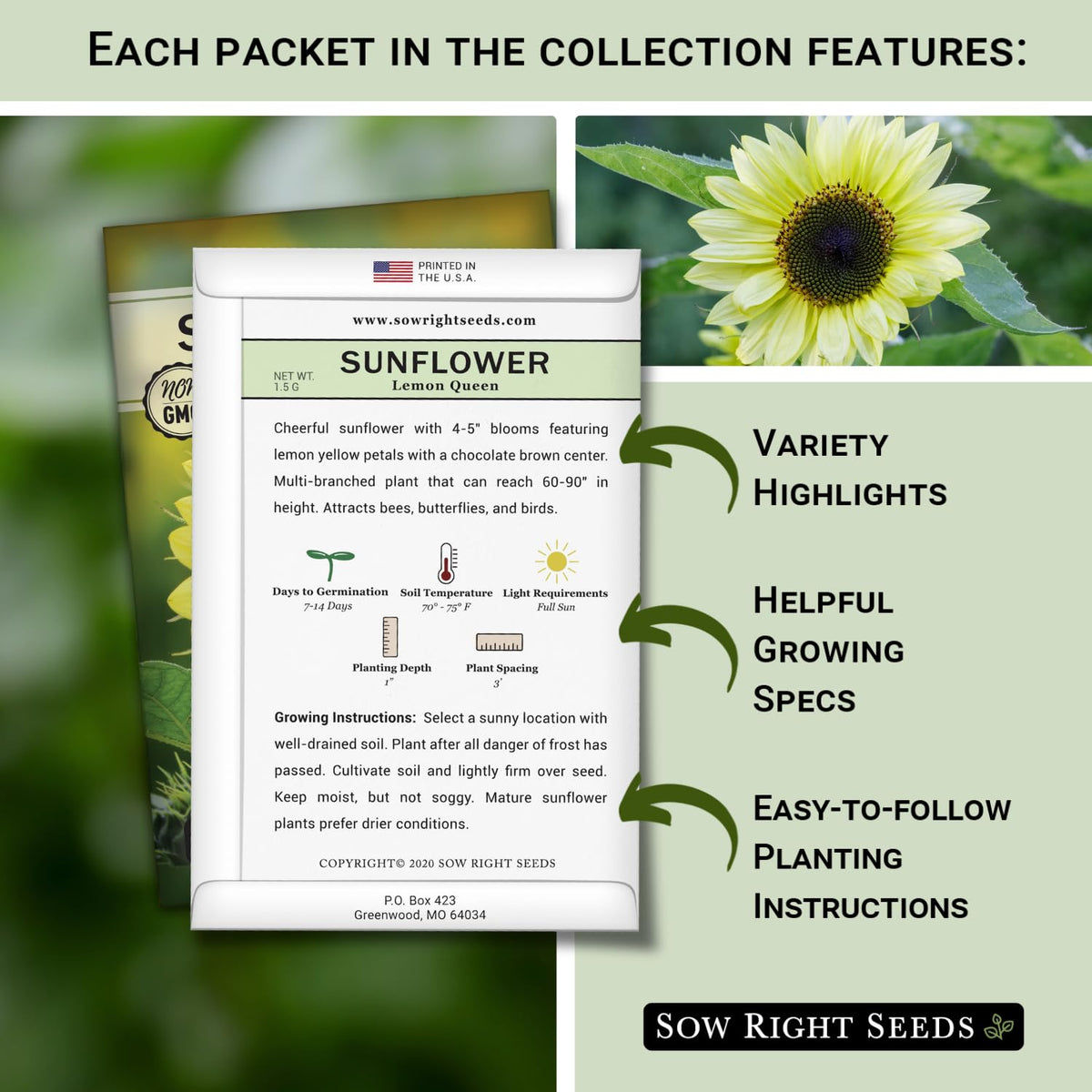 Sow Right Seeds Sungold Sunflower packet designed for sunny borders that attract bees.