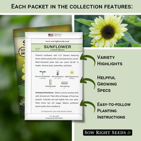 Sow Right Seeds Sungold Sunflower packet designed for sunny borders that attract bees.
