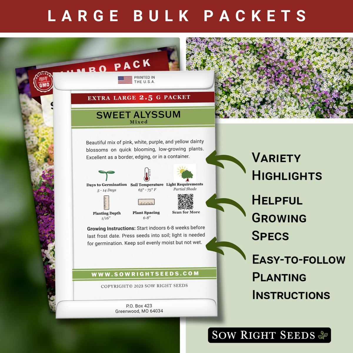 Sow Right Seeds alyssum border planting shows vibrant border color