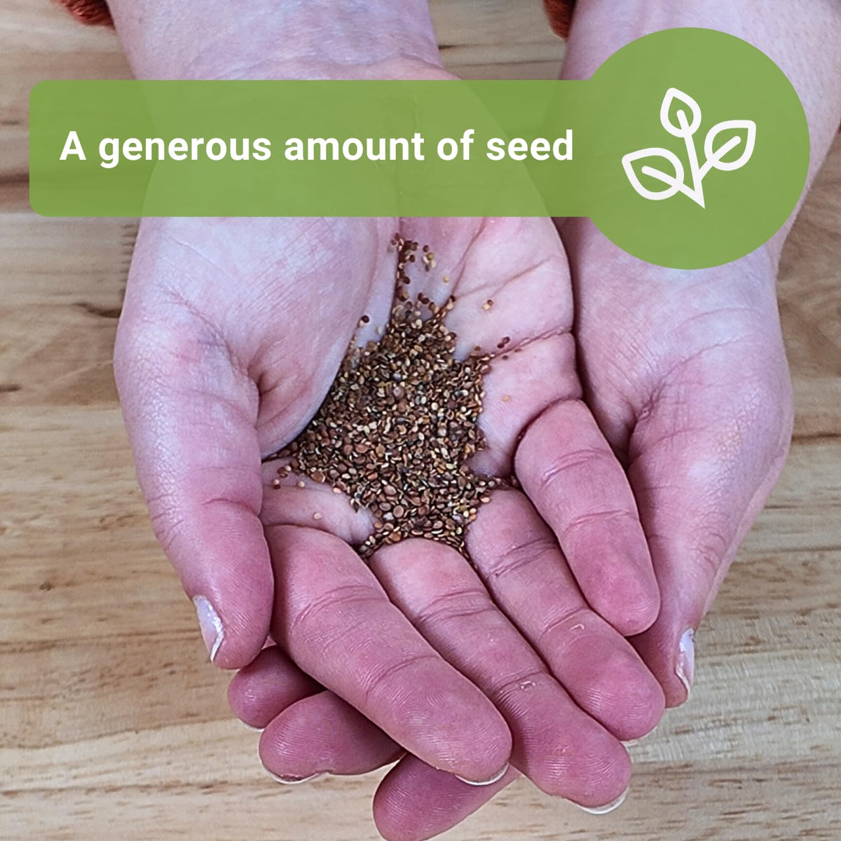Sow Right Seeds germination of alyssum typically 5-14 days under warm temps