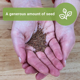Sow Right Seeds germination of alyssum typically 5-14 days under warm temps