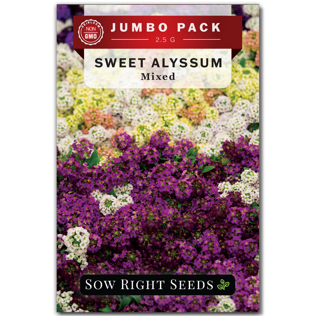Sow Right Seeds Sweet Alyssum mix seeds in bulk packet for colorful borders