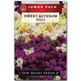 Sow Right Seeds Sweet Alyssum mix seeds in bulk packet for colorful borders