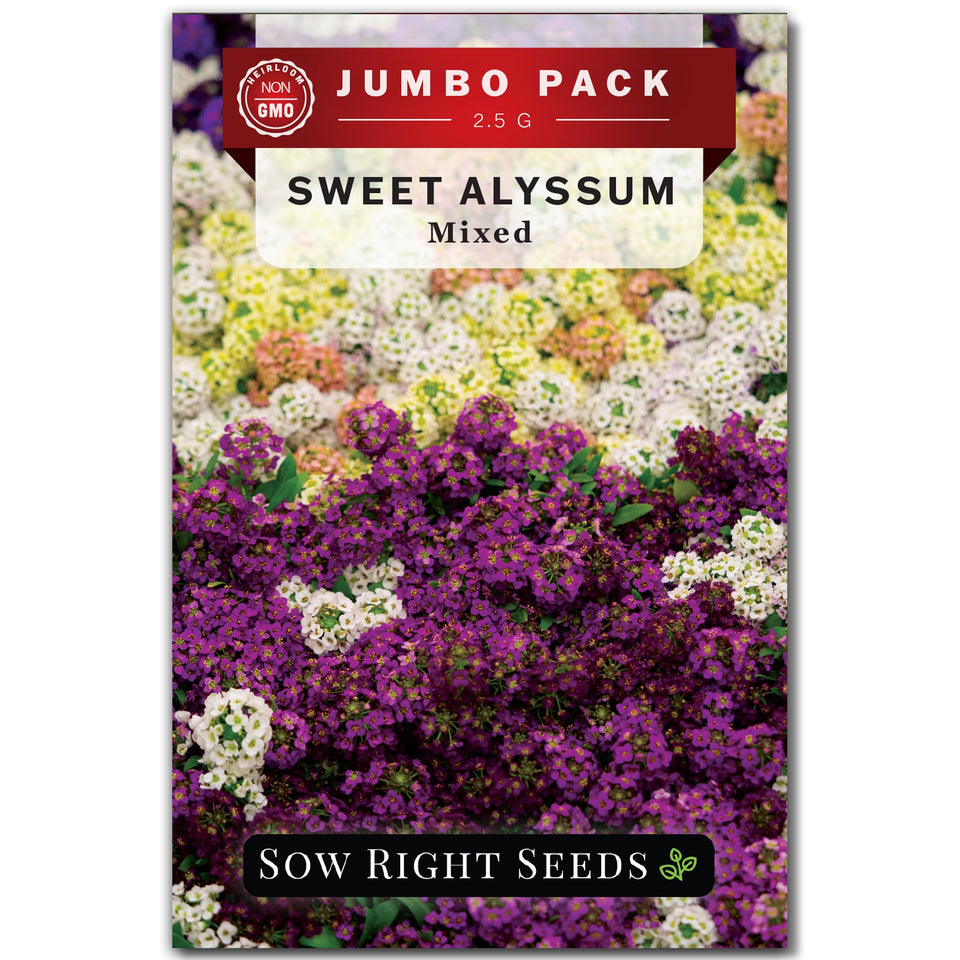 Sow Right Seeds Sweet Alyssum mix seeds in bulk packet for colorful borders