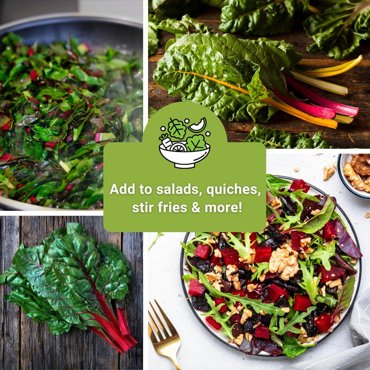 Sow Right Seeds non-GMO heirloom chard leaves ready to harvest