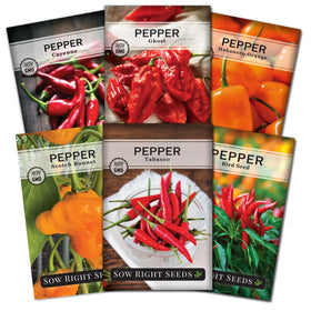 Sow Right Seeds tabasco pepper seed packet showing a bold, productive option for garden heat and flavor