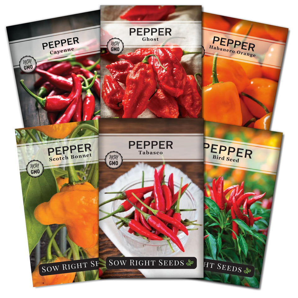 Sow Right Seeds tabasco pepper seed packet showing a bold, productive option for garden heat and flavor